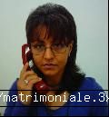 Poza lui flori`